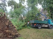 Jako nevrijeme oštetilo krovove, prozore, automobile, čupalo drveće, lomilo granje – Prometnice prohodne, saniranje objekata po prioritetima; do sad 70 dojava, stižu i dalje 